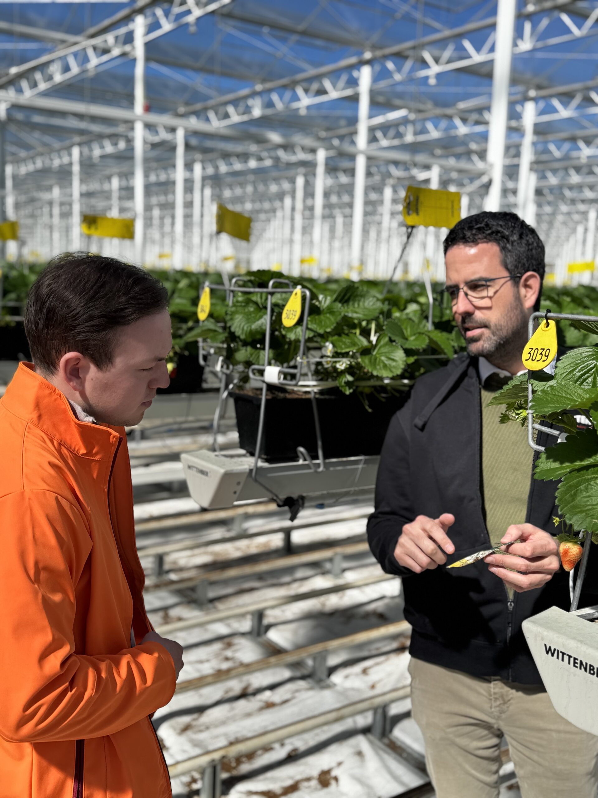 Besuch bei der Wittenberg Gemüse GmbH